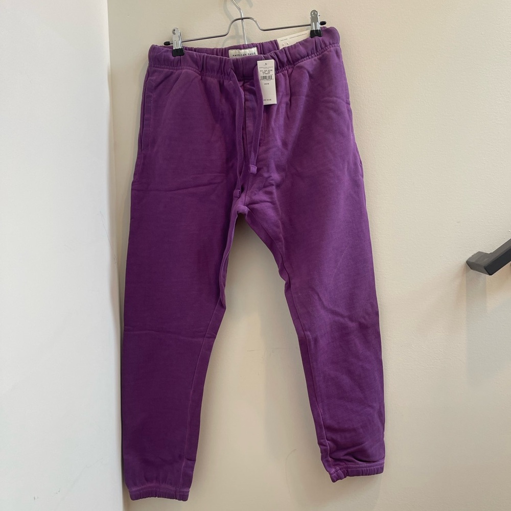 American Eagle Outfitters Violet Joggers